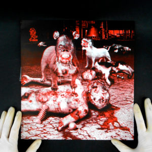 maitrechien vinyl noise