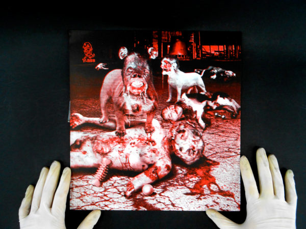 maitrechien vinyl noise
