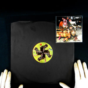 maitrechien vinylnoise