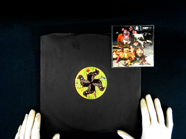 maitrechien vinylnoise
