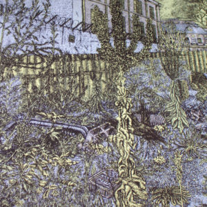 nuvish terrain vague