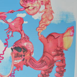 seikitani poster