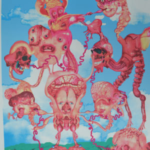 silkscreen seikitani