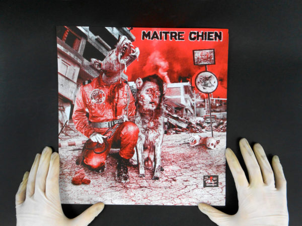 vinyl noise maitre chien